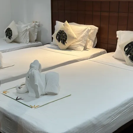 Camellia Resort and Spa -Sigiriya