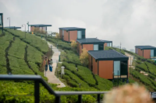 Bobocabin Signature Kawah Ciwidey, Bandung