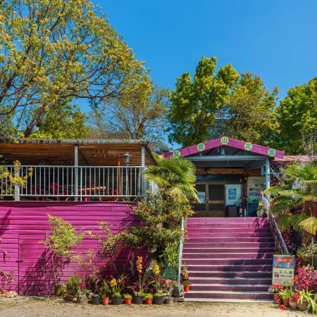 Alishan Sunrise B&B Отели рядом с достопримечательностью «Старый город Fenchihu»