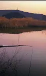 โรงแรมชางกี้คอฟฟี่สไตล์ (ไช่หงเฉิง สนามบินจงชวน หลานโจว) - โรแมนติก