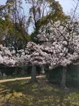 Entire House【 otonarisan】 /free parking - Mountain view