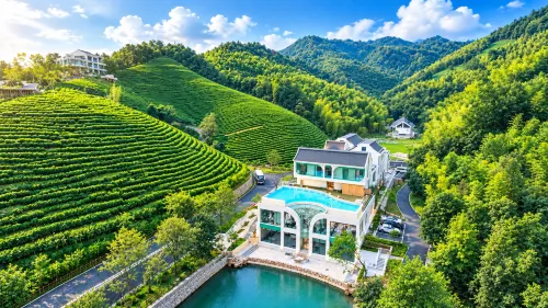 Anji Qingxingu White Tea Manor - 인피니티 풀