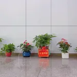 Overseas Chinese Hotel Liuyang