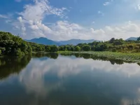 the Carp Islet Resort - Romantic