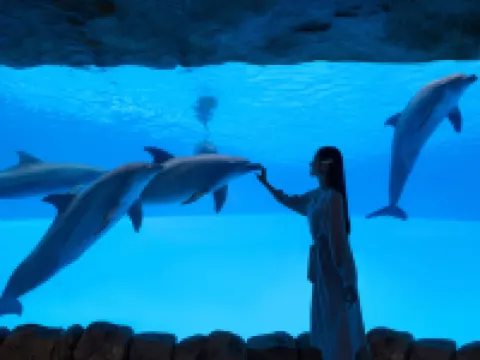 Chimelong Hengqin Bay Hotel Hotels in Zhuhai