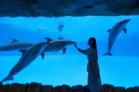 Chimelong Hengqin Bay Hotel (Chimelong Flagship Store)