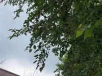 Luhuali Xuweicun Homestay Hôtels à : Xinghua