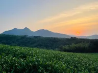 Nanshan Bamboo Sea Dongli Shangshe B&B - Romantic