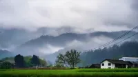 Xieshan Jingshe Boutique Guesthouse - วิว
