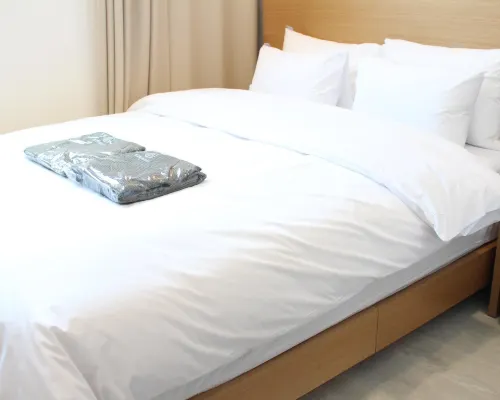 ION HOTEL Dongdaemun Hotels near Ogan Bridge