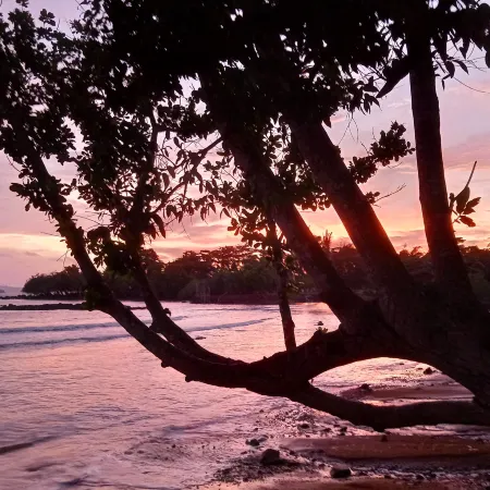 Naivacha Tent Koh Mak