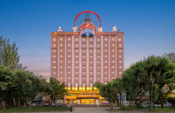 輪台三寶大酒店