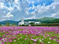 Guishanli · Strangers Flowers Homestay