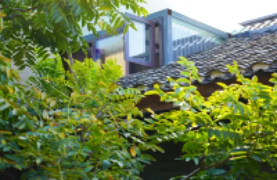 馬營書局民宿（壽縣古城報恩禪寺店）