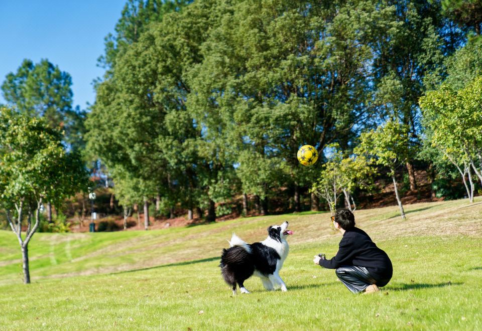 푸리 홀리데이 호텔 객실