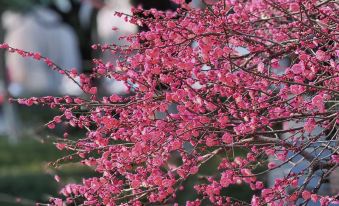 A Balance Hotel (Ningbo Eastern New Town Convention Center)