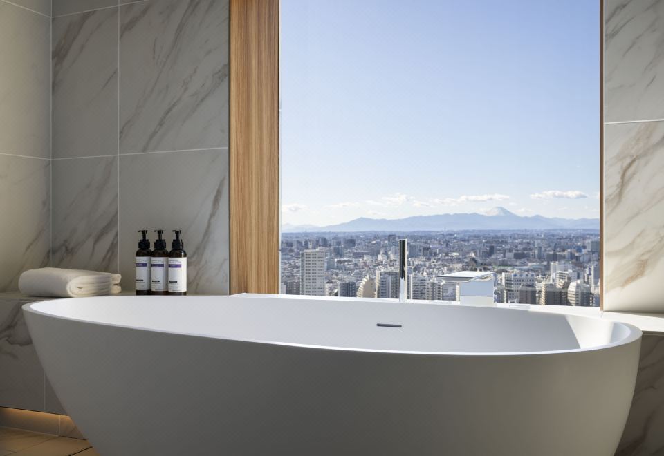 하얏트 리젠시 도쿄의 스파 시설 내부