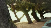 Pangkor Coral Bay Homestay - شاطئ
