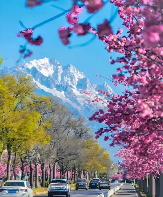 Golden Jade · Four Seasons Yunqi Light Luxury Resort Homestay