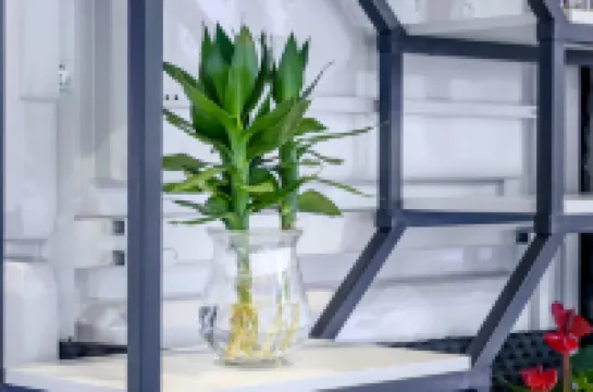 Shiji Qingteng Capsule Hotel (T3 Terminal)