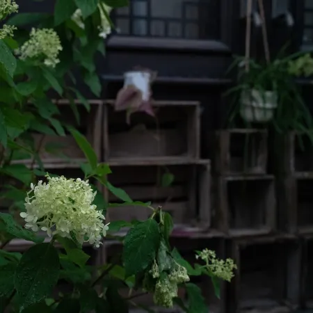 Qinyang Lianfu Homestay