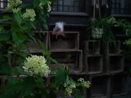 Qinyang Lianfu Homestay