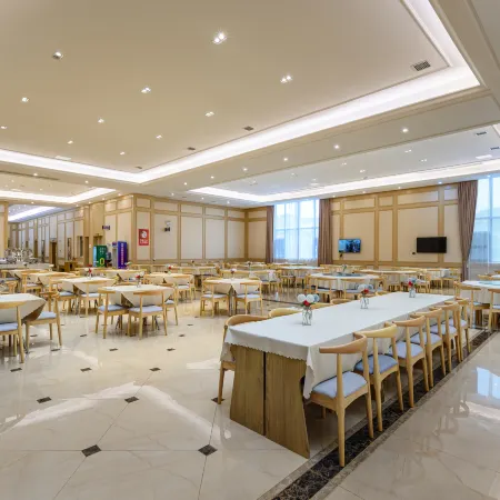 Vienna International Hotel (Liping Conference Site)