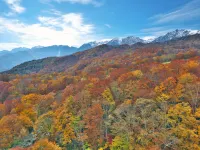 SANU 2nd Home Hakuba 1st Hotels in Hakuba