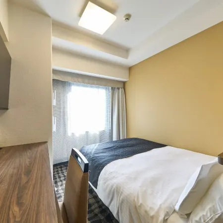 APA Hotel Toyama Ekimae Minami
