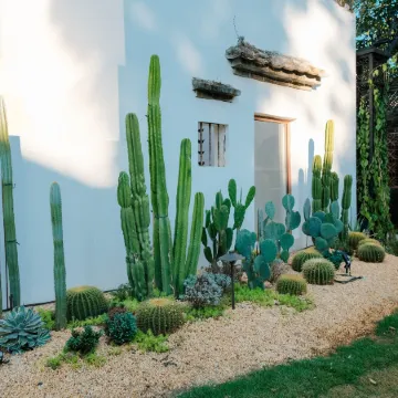 Changtan Art Village Homestay