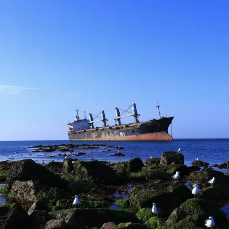 Coral Sea Seaview Homestay (Rongcheng Naxianghai Shop)