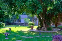 Yangshuo Donglixia Homestay - อ่างจากุชชี่