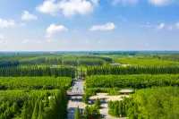 Mercure Dongtai Huanghai Forest Park - Gym