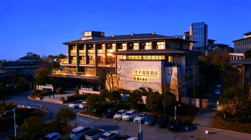 Yimeng Cold Spring Resort - bar