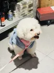 Urba Hotel (Nanmenkou Bubugaostore, Ganzhou City) - Phòng Gym