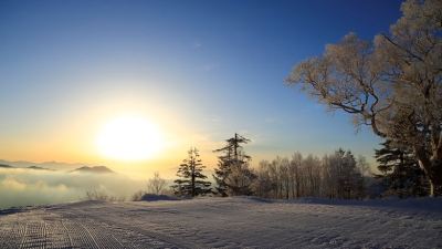 ホテル周辺 苗場プリンスホテルの写真