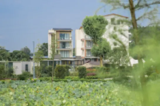 Yingde Shengquan Mountain Valley Gold and Silver Hot Spring Hotel