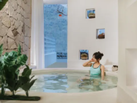 PALMETTO·Pool·Pampered Garden Meisu 安吉のホテル