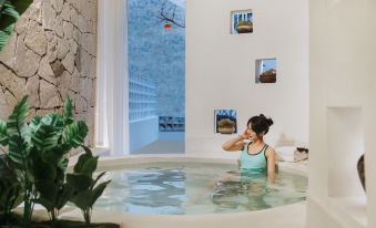 PALMETTO·Pool·Pampered Garden Meisu