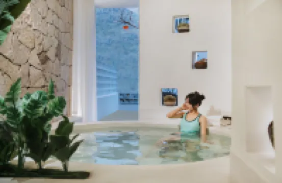 PALMETTO·Pool·Pampered Garden Meisu