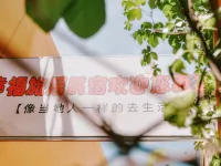 Happiness Travel Homestay Hotels in Kashgar City
