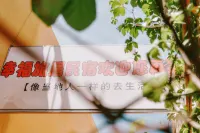 Happiness Travel Homestay