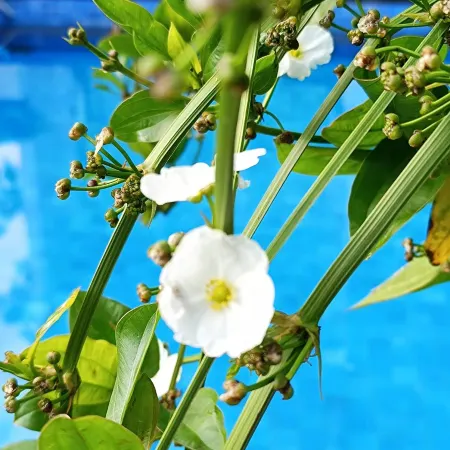 KC Beach Hotel Samui