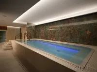 Iceland Parliament Hotel, Curio Collection by Hilton - spa