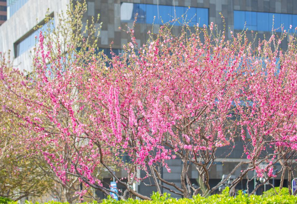 더 웨스틴 베이징 차오양의 세련된 호텔 로비