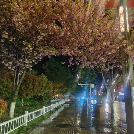 KangdingNanshanHotel Отели рядом с достопримечательностью «Princess Bridge»