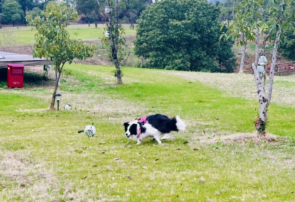 푸리 홀리데이 호텔 지중해 스타일 객실