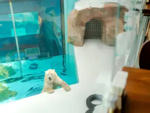 Harbin Polar Bear Hotel