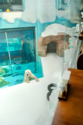 Harbin Polar Bear Hotel Hotels near Harbin Wanda Theme Park