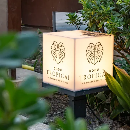 Dodu trophycal Pool Villa near by Airport